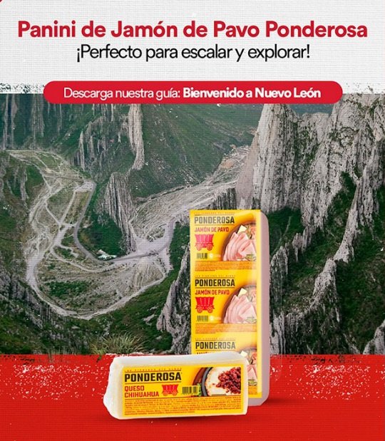 Ponderosa: Lo que se construyó, imagen 1 de 2